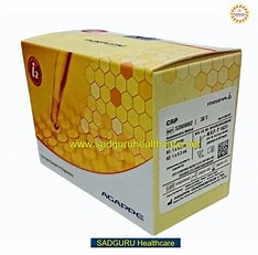 Alkaline Phosphatase